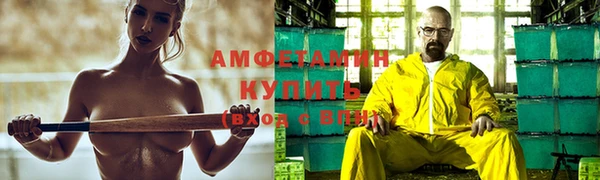 шишки Тайга
