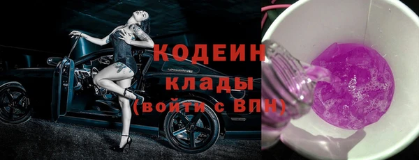 шишки Тайга