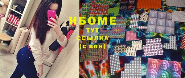 гашик Сосновка