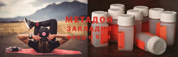 шишки Тайга