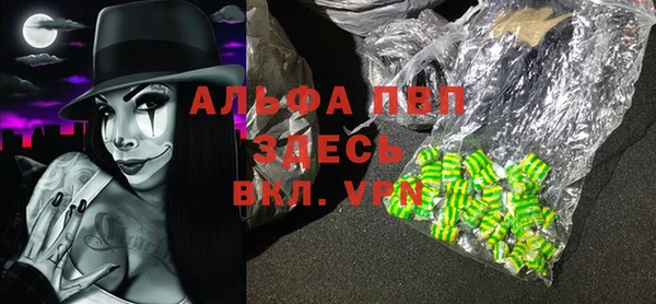 шишки Тайга