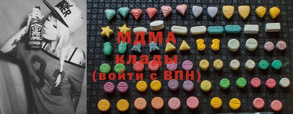 шишки Тайга