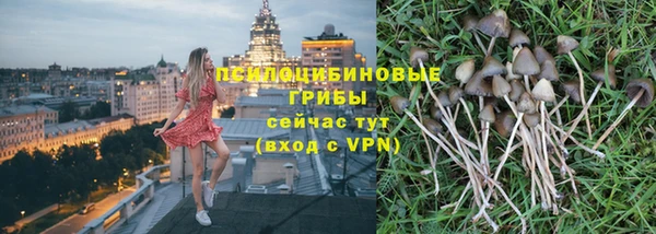 шишки Тайга