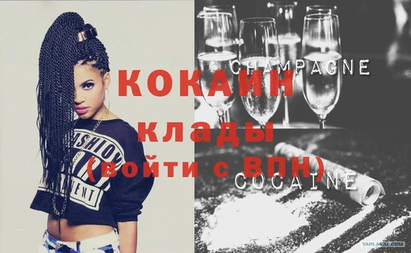 шишки Тайга