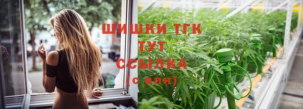шишки Тайга