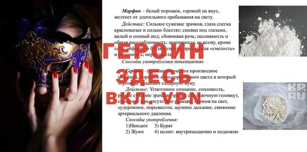 шишки Тайга