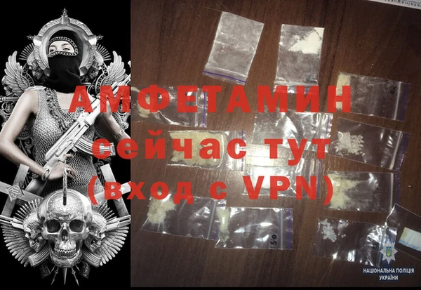 шишки Тайга