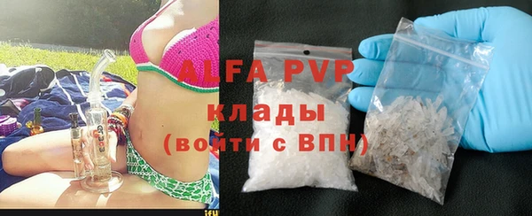 шишки Кирсанов