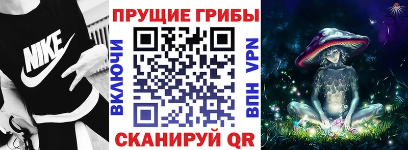 Псилоцибиновые грибы Psilocybine cubensis  Ставрополь 