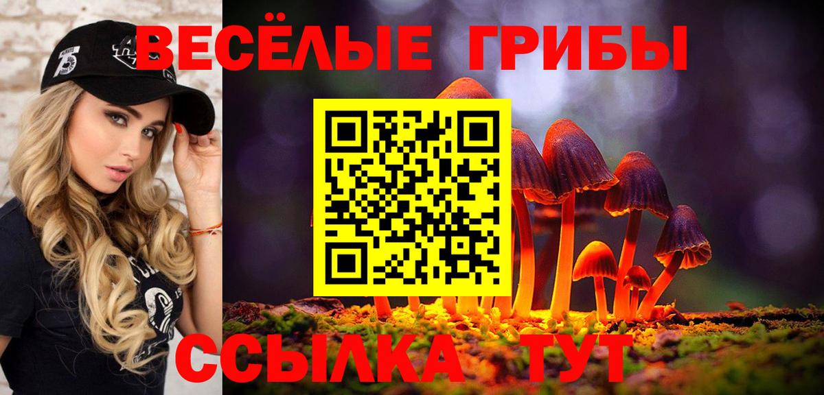 Галлюциногенные грибы Cubensis  Вход с VPN  купить наркотик  Ставрополь 