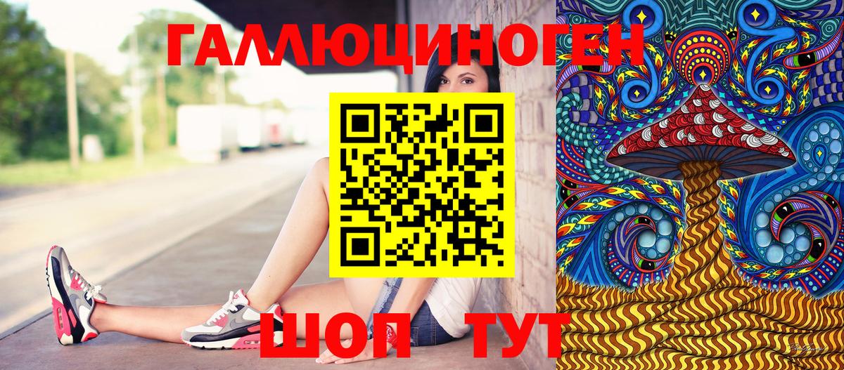 Псилоцибиновые грибы Psilocybe  Ставрополь 